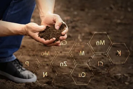 soil composition Image